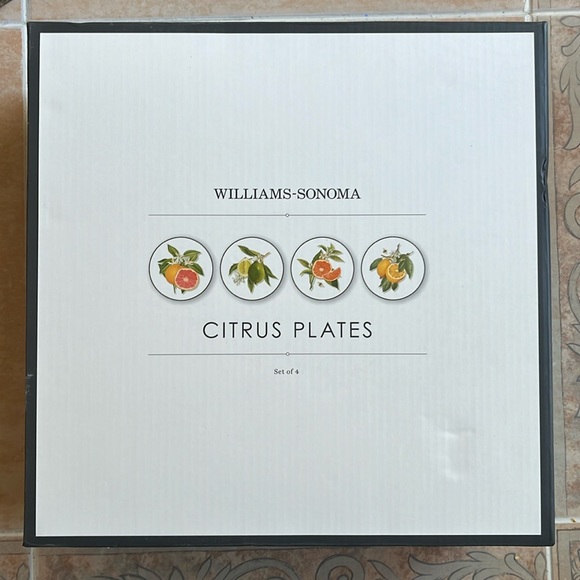 4-WILLIAMS SONOMA Citrus FRUIT BEES Salad Plates LEMONS LIME GRAPFRUIT ORANGE 9" - Picture 1 of 11